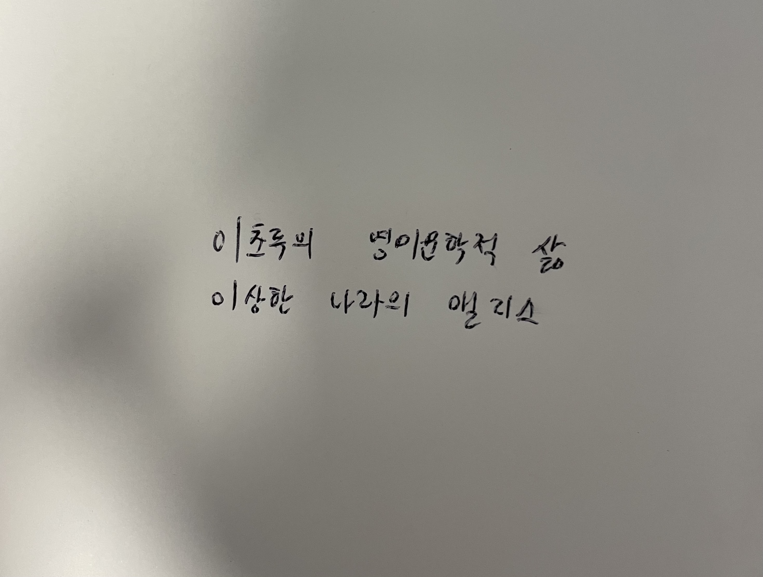 이초록의 영미문학적 삶- 이상한 나라의 앨리스 루이스 캐럴 손글씨