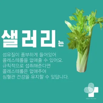 샐러리 효능 알고 먹는법 잎 생으로 손질법 요리_7