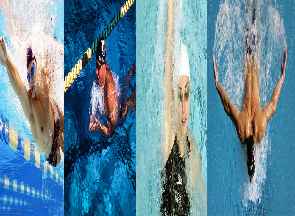 자유형 평영 배영 접영 영법