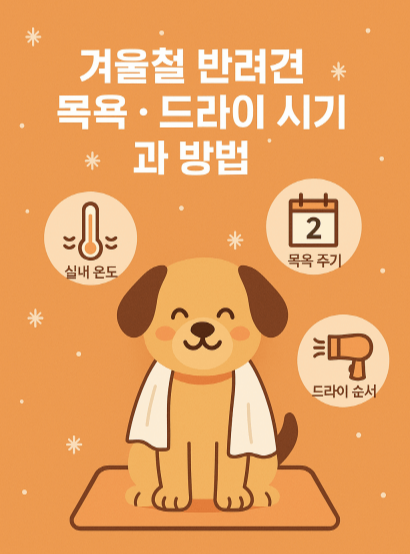 겨울철 강아지 목욕과 드라이, 언제 어떻게 해야 할까?
