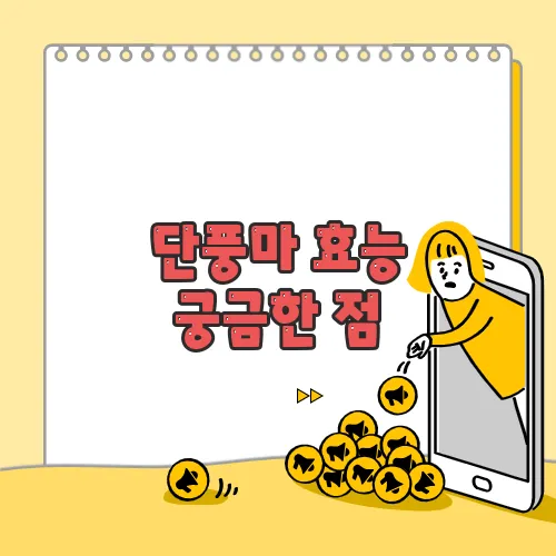 단풍마 효능  궁금한 점, 풀어보죠