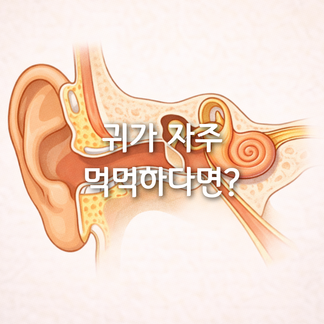 귀가 자주 먹먹해진다면 그냥 피로 때문이 아닐 수 있습니다👂