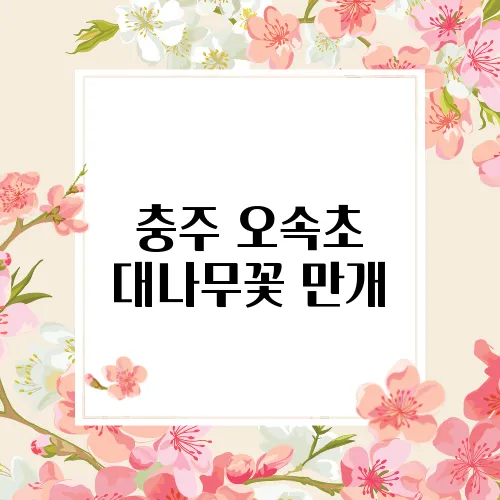 충주 오속초 대나무꽃 만개