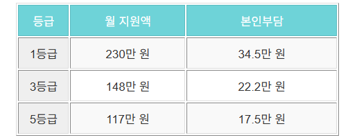 등급별지원액