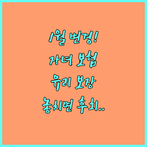 2026년 1월 자녀보험 변경 전! ..