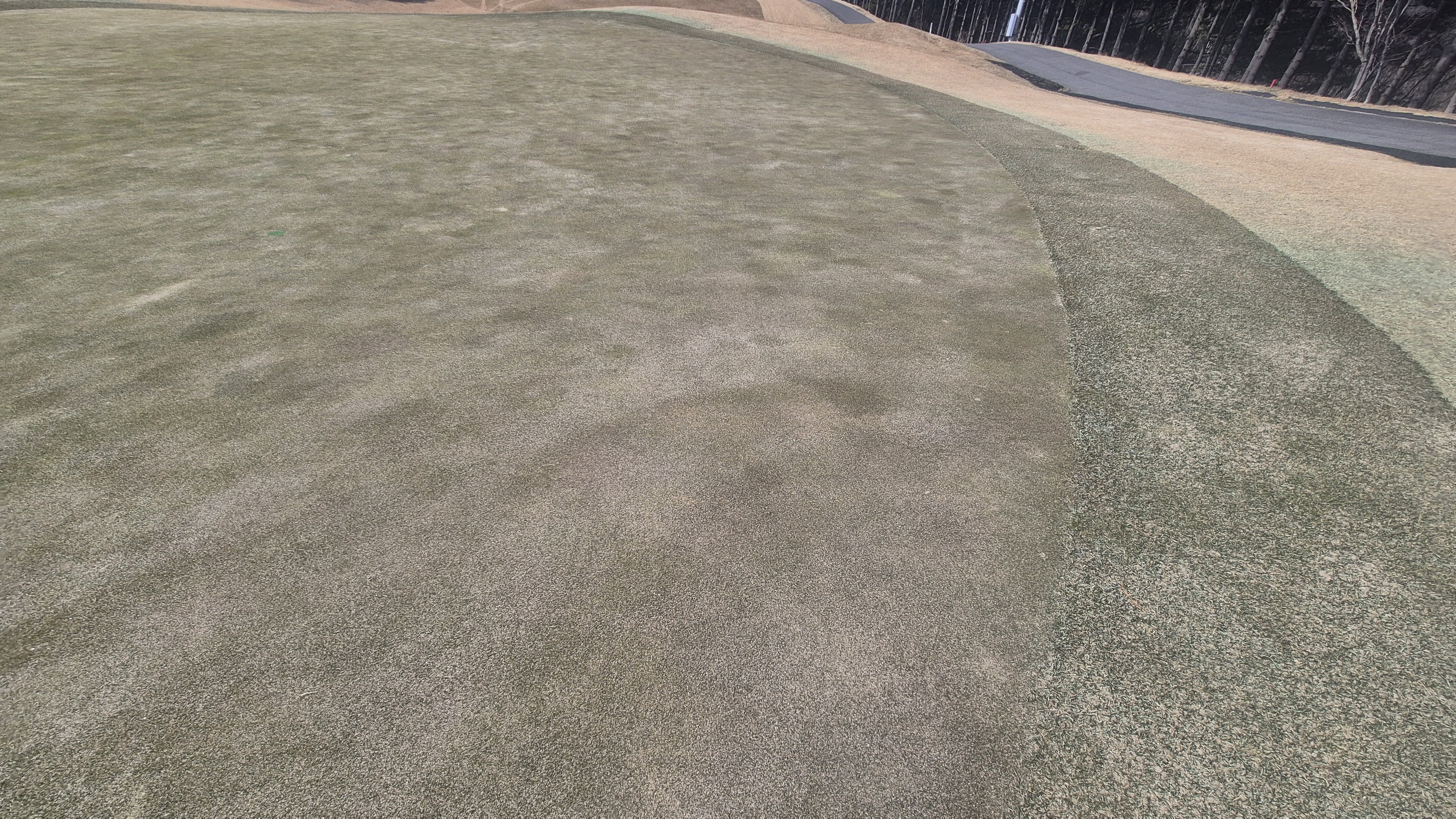 아난티코드gc 잣나무-느티나무 코스 그린 관리상태