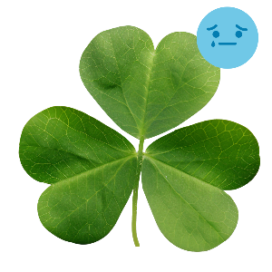 우울증 자가진단 테스트