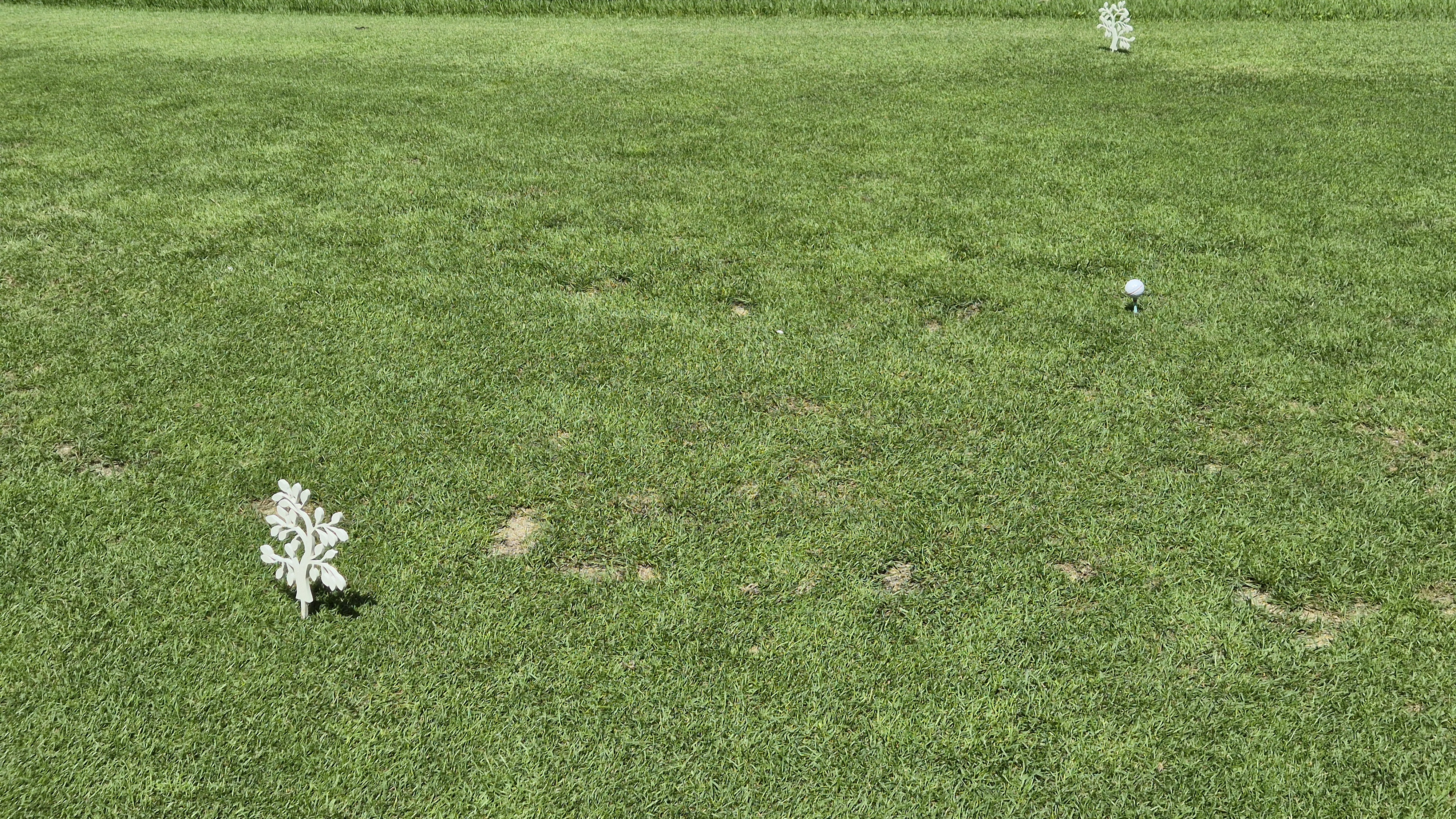 SG 아름다운cc 라운드 후기