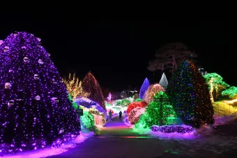 아침고요수목원 입장료 근처 맛집 펜션 추천_10