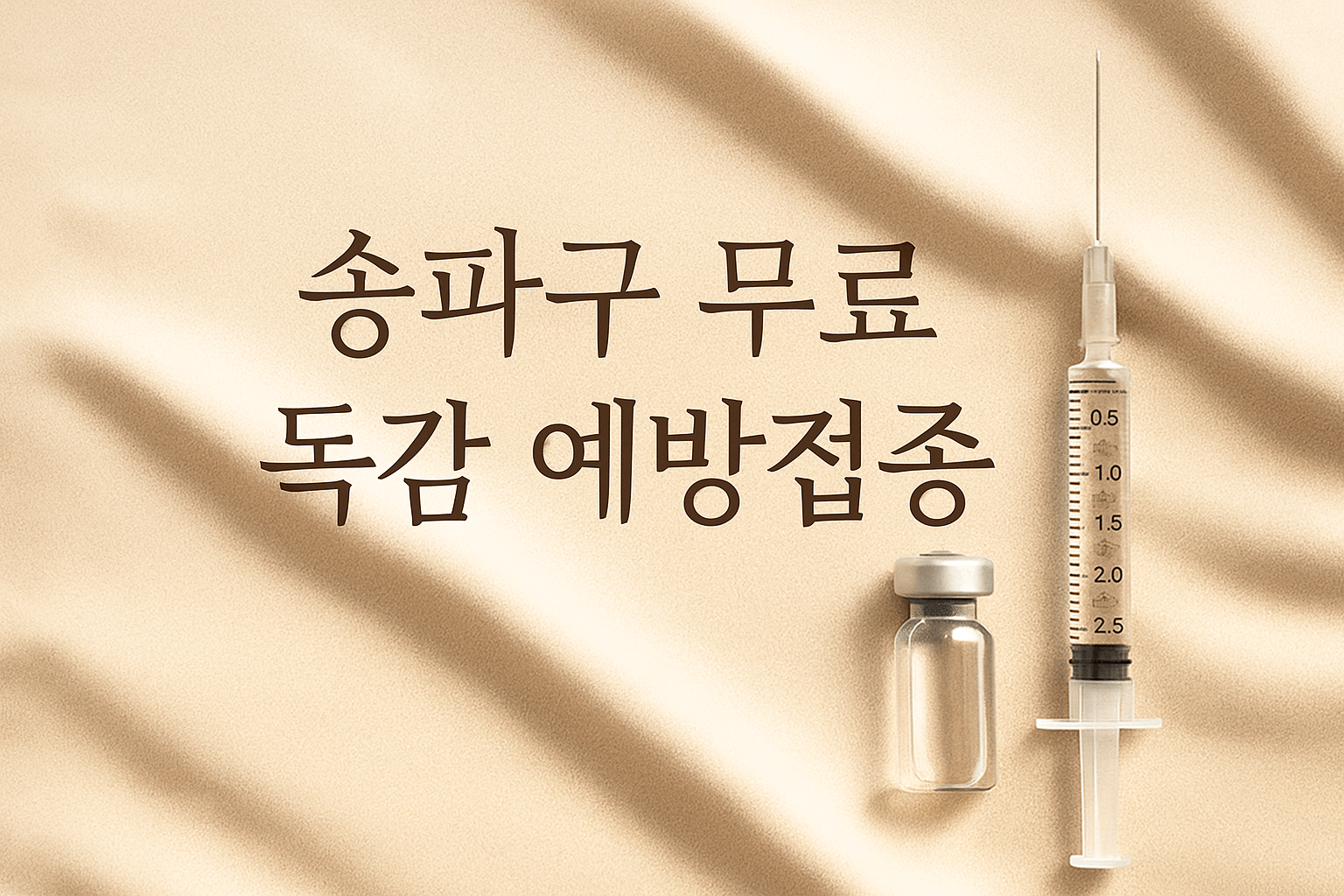 송파구 무료 독감 예방접종 - 사진