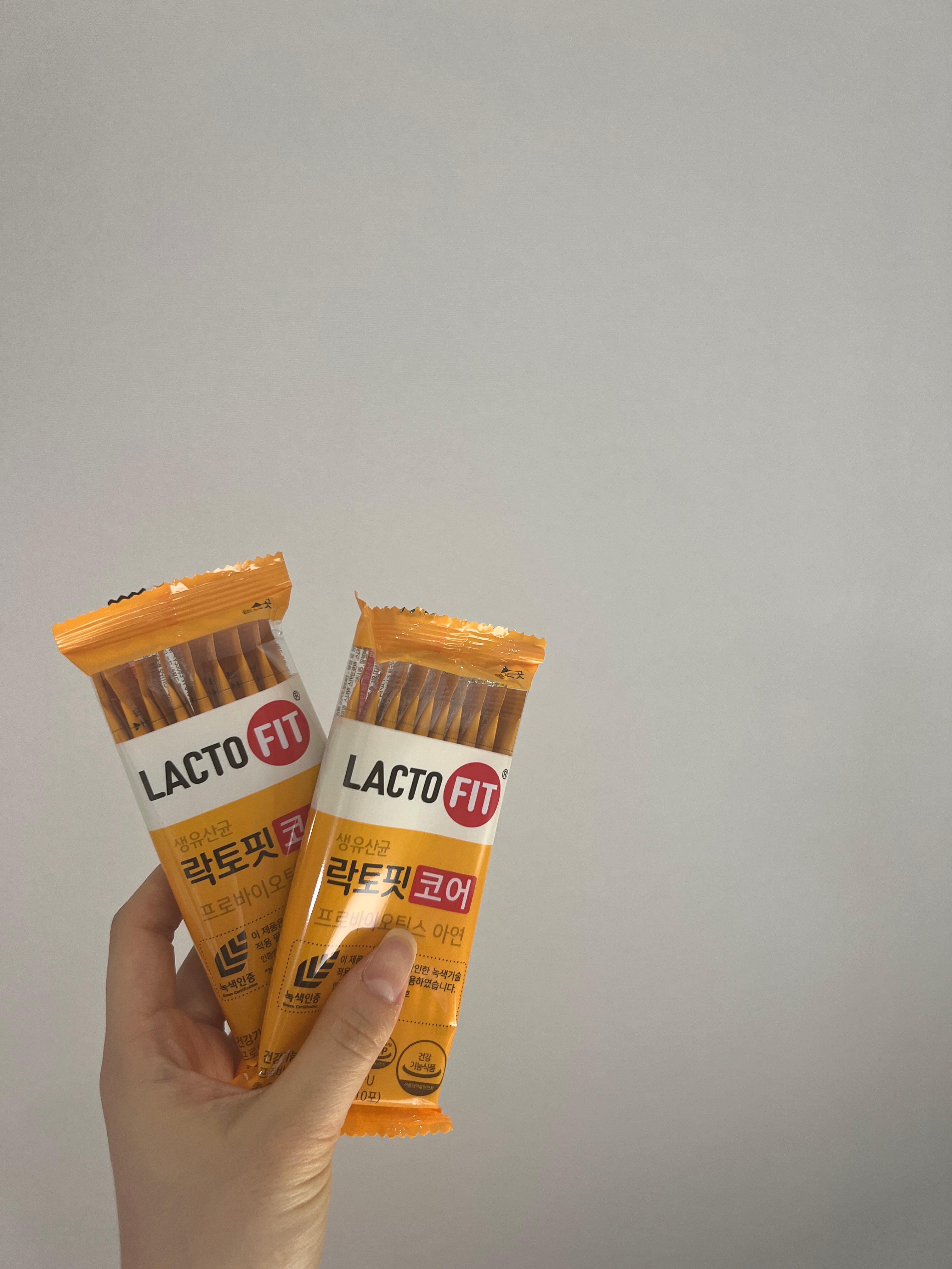 락토핏 유산균 사진