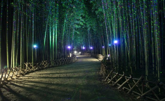 태화강 국가정원 은하수길