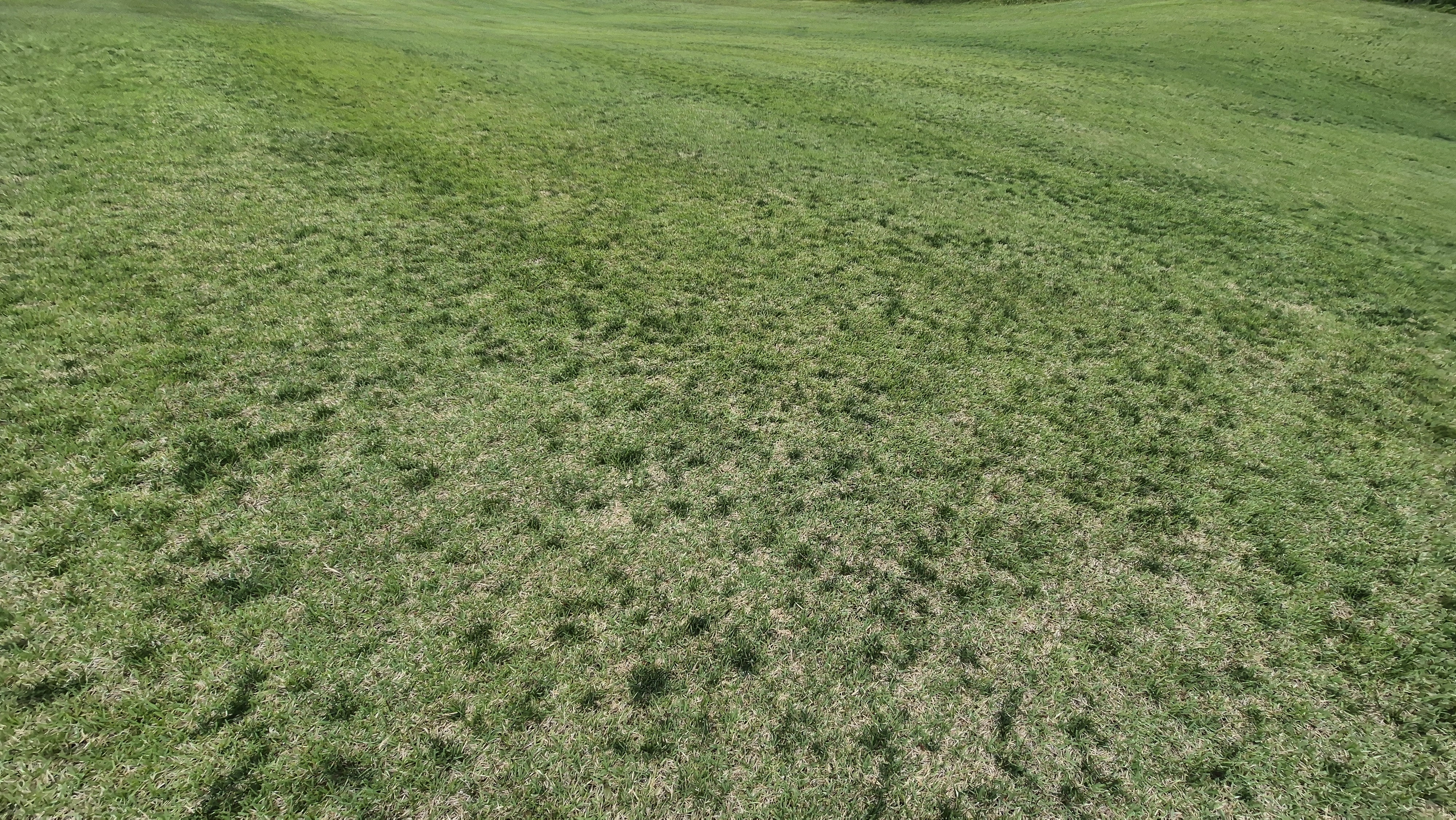 샴발라cc 라운드 후기