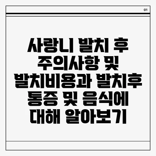 사랑니 발치 후 주의사항 및 발치비용과 발치후 통증 및 음식에 대해 알아보기