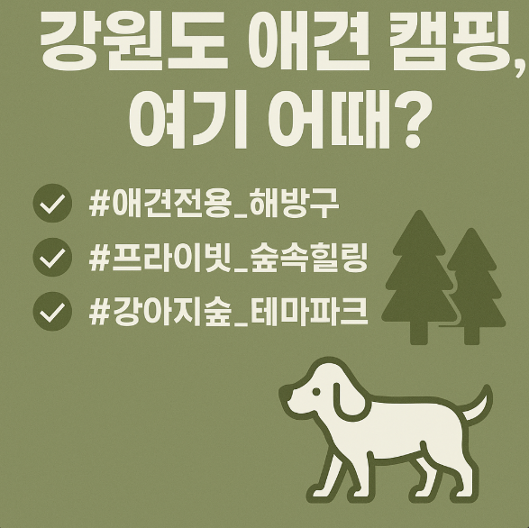 강원도 캠핑 여긴 어때?