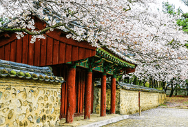 레일크루즈 해랑열차 효도관광 동부권 1박 2일 코스