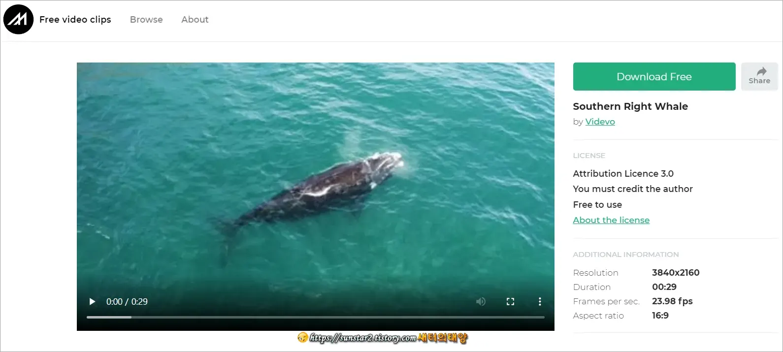 저작권 없는 무료 동영상 다운로드 페이지_1