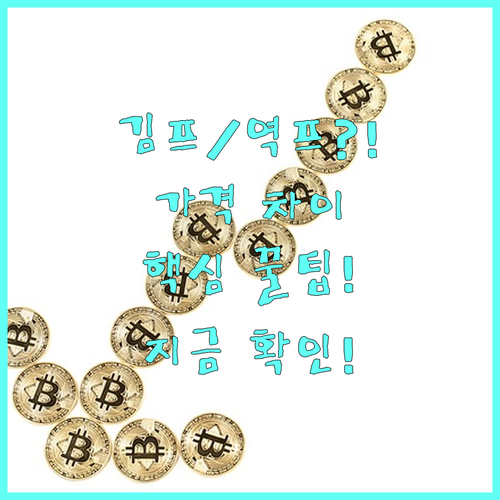 비트코인 김프 역프 확인법 국내외 가..