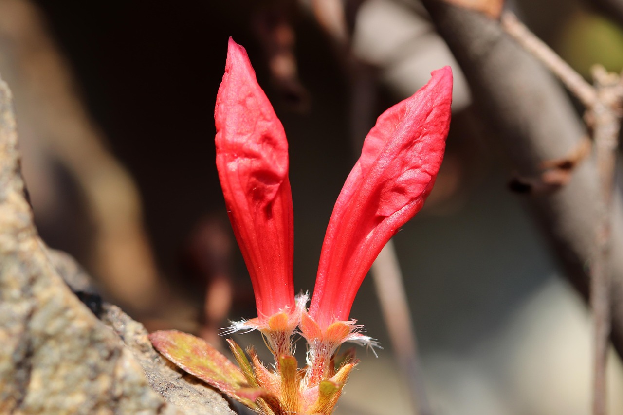 5월 인사말 모음! 40가지 꼭 전하세요