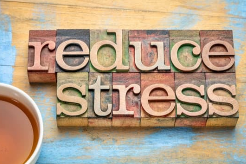 뽀모도로(포모도로) 테크닉: 집중력과 시간 관리를 위한 최고의 학습 도구 생산성 극대화 휴식