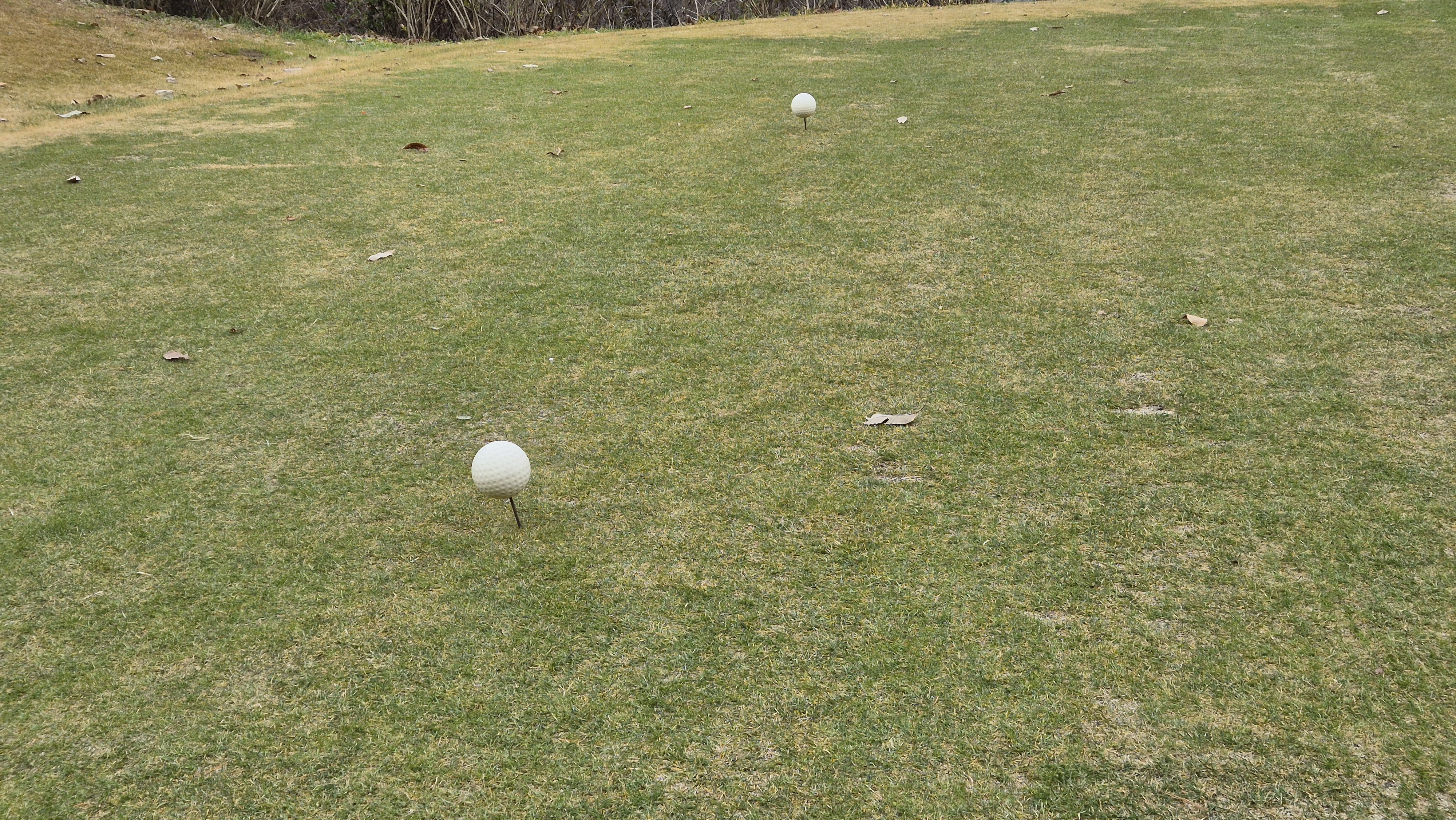 올데이 떼제베cc 가람-누리(서-남) 코스 티잉구역 상태