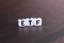미국 고배당 ETF