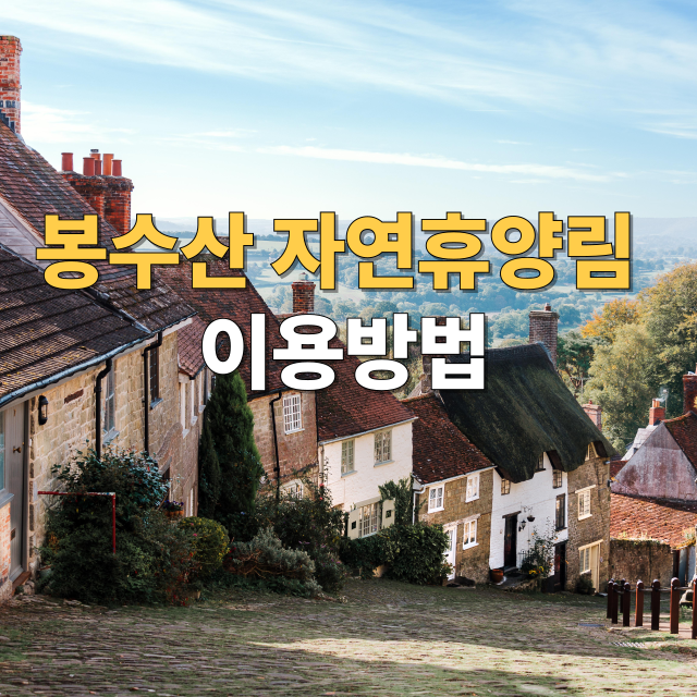 더보기
봉수산 자연휴양림 예약 방법,주차장, 맛집, 주변 여행지