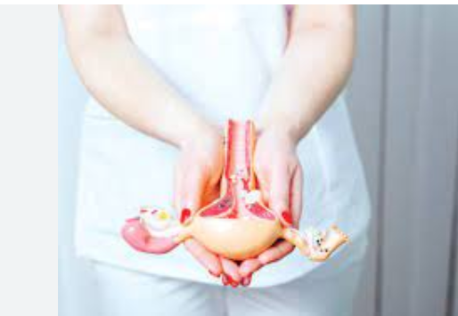 폐경기 자궁근종