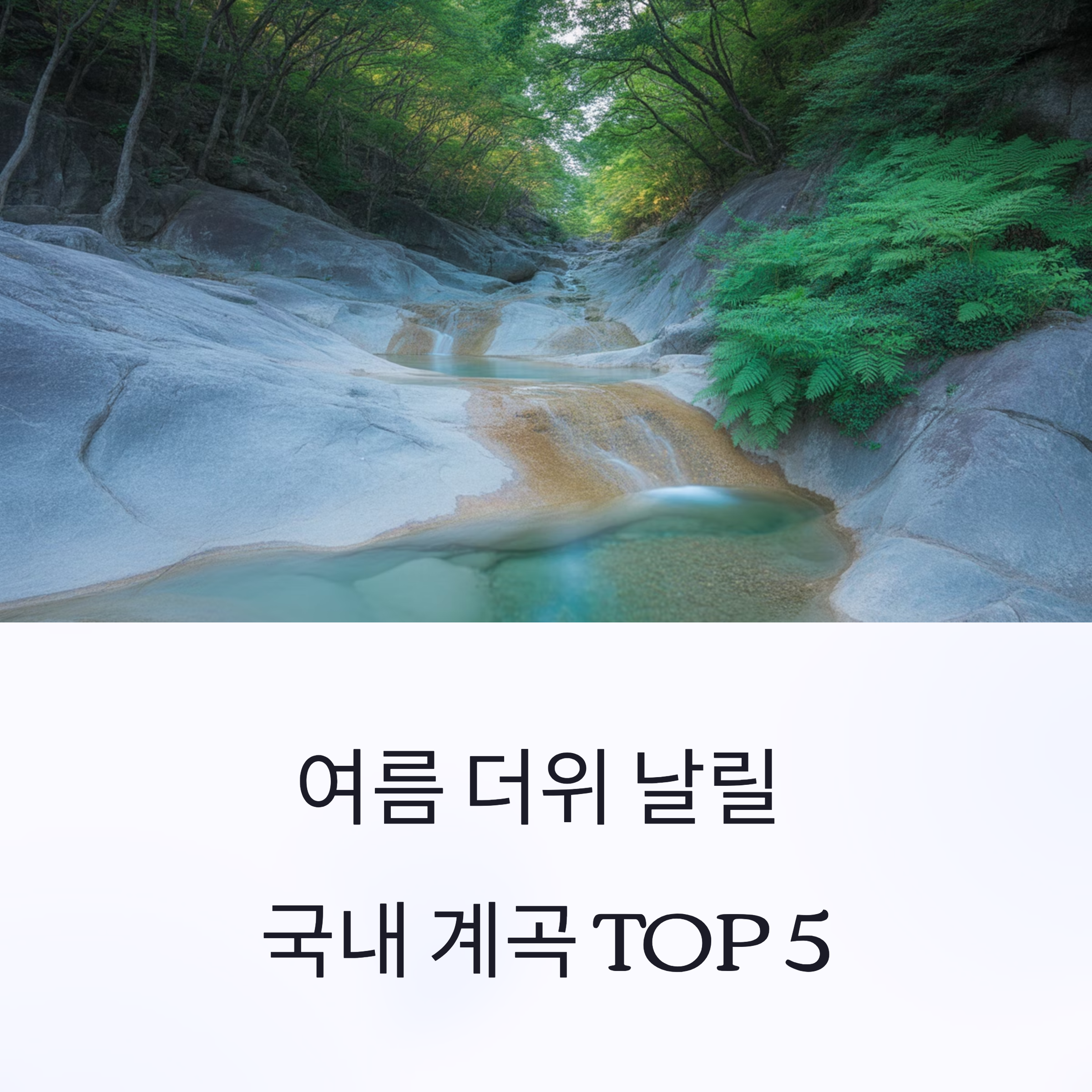 국내 계곡 여행지