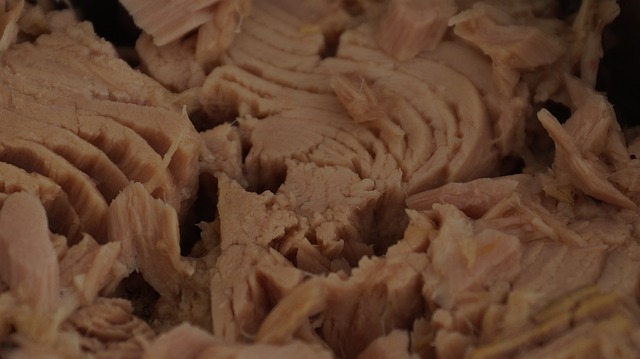 참치통조림사진