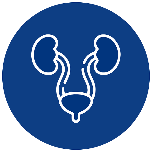 신장 결석 (Renal stone)