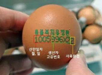계란에 적힌 번호가 정확히 뭘까 계란 난각번호 4번 제대로 알고 먹고 있나요_15