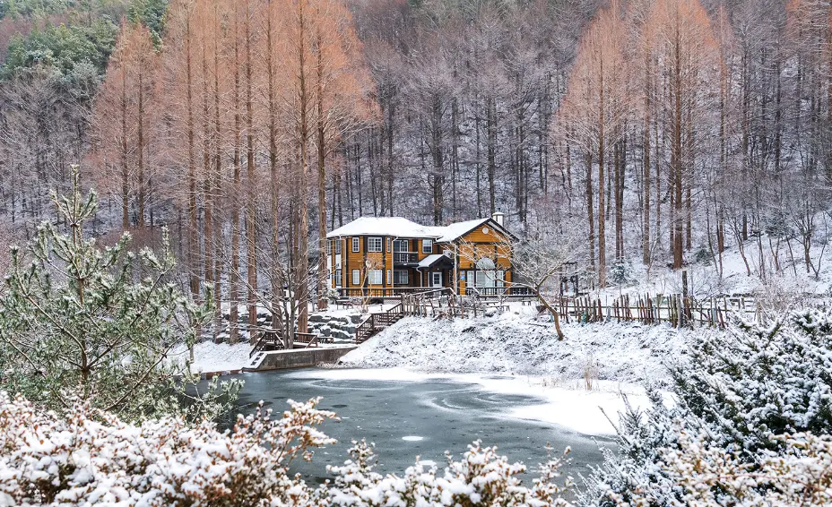 온빛자연휴양림예약 주차 아무도 없는 숲속에서