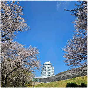 남산