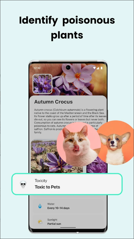 꽃 이름 찾기 어플, AI 식물 식별, 꽃, 나무 인식 및 이름 찾기, PlantCam