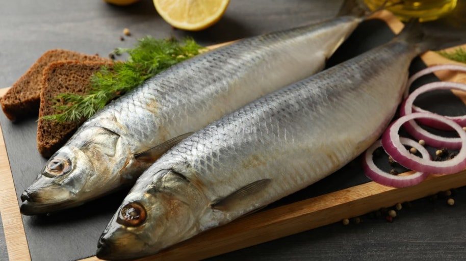 헤링오일 11 효능 먹는법 부작용