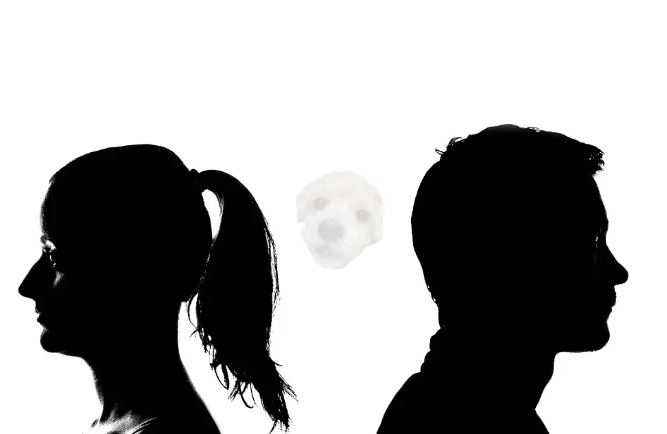 이혼 관련 사진1