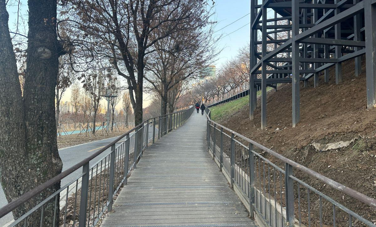 안양&middot;군포 반려견 산책 어디가 좋을까? 겨울에도 걷기 좋은 명소 추천