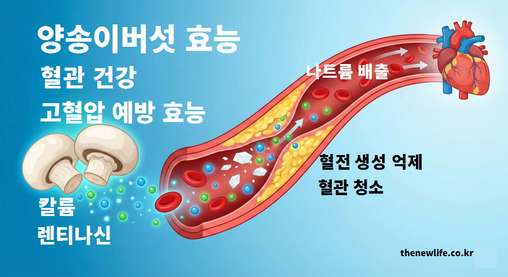 양송이버섯 효능 중 혈관 건강과 고혈압 예방을 설명하는 인공 이미지