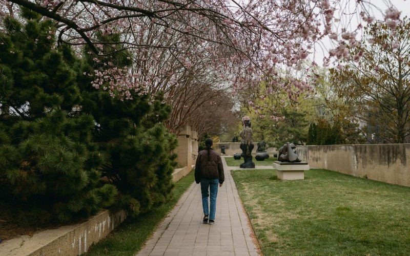 충주 중앙탑사적공원 탑평리 칠층석탑, 무료 주차 및 탄금호 무지개길 관람