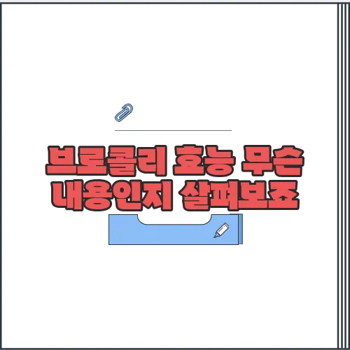 브로콜리 효능 무슨 내용인지 살펴보죠