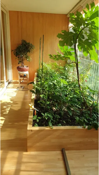 베란다 텃밭 흙 고르기 배수층 화분 선택 물주기 비료주기_17