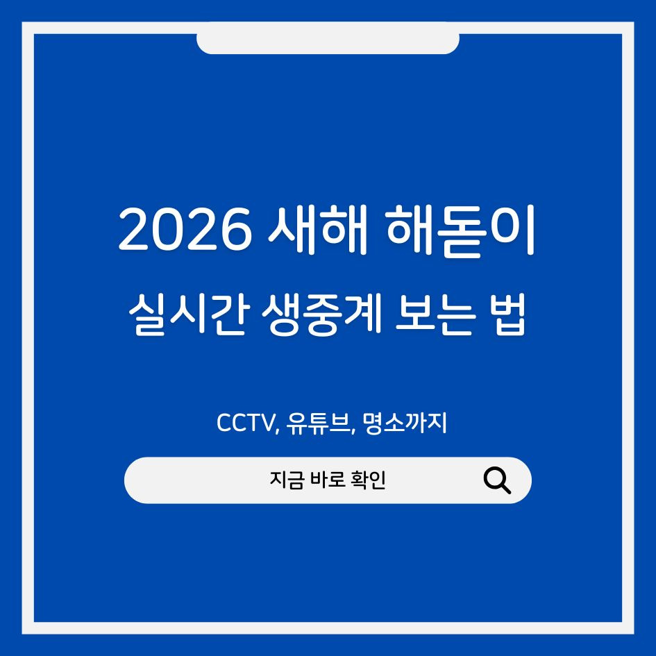 2026년 해돋이 실시간 생중계 CCTV로 보는 방법