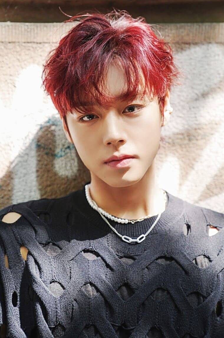 배우-박지훈