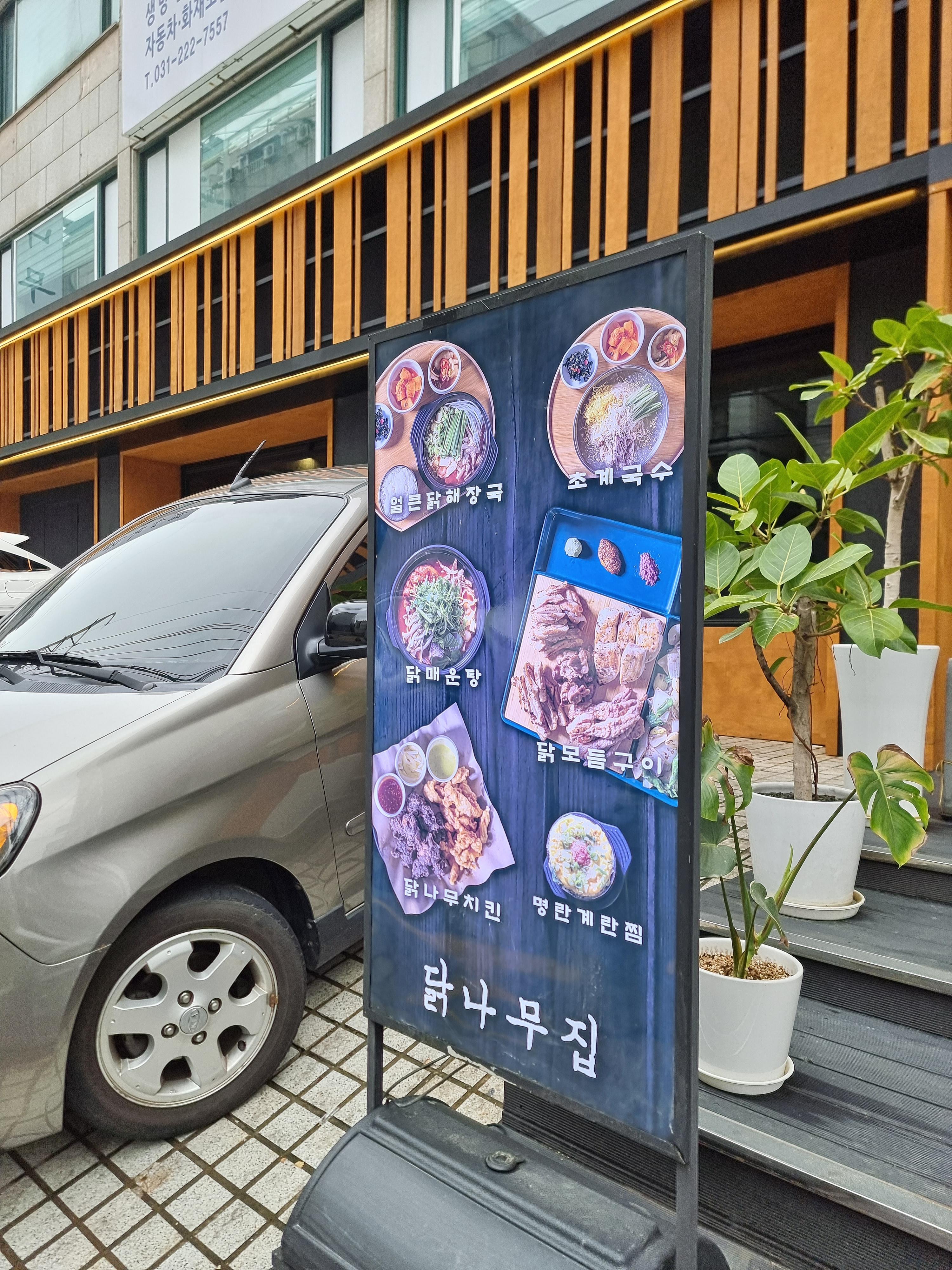 닭나무집