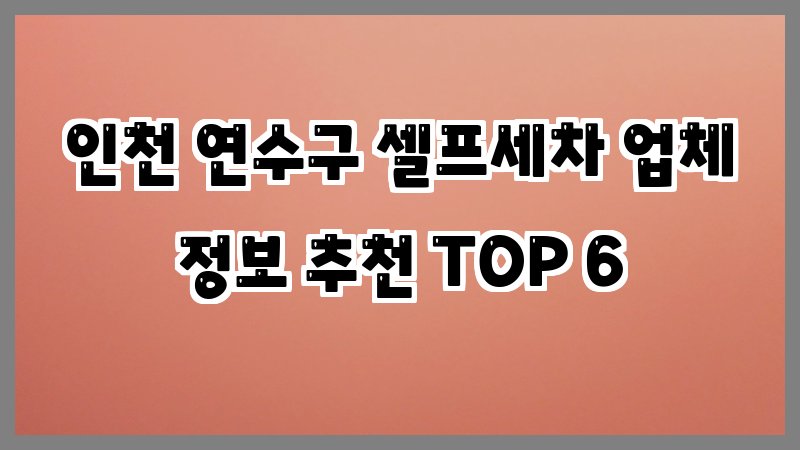 인천 연수구 셀프세차