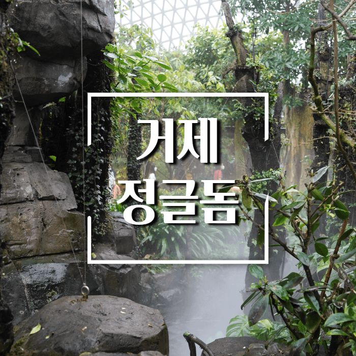 거제-정글돔-소개