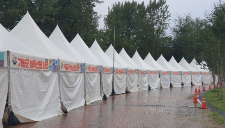 자라섬 꽃 페스타