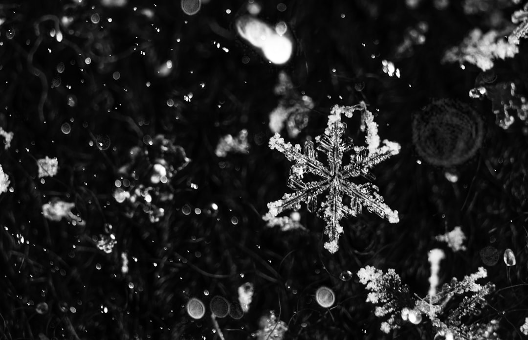 Snowflake