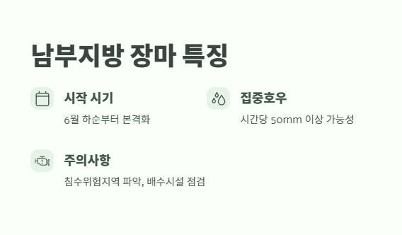 2025년 장마기간 바로 보기 5